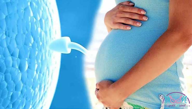 Infertility treatment