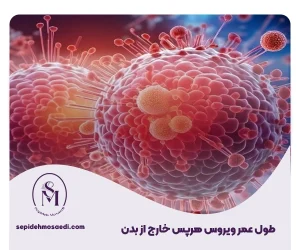 وبلاگ 2 طول عمر ویروس هرپس خارج از بدن
