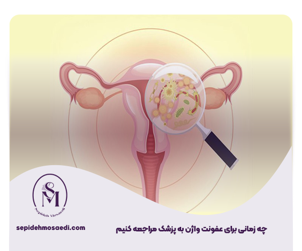 تفاوت عفونت قارچی و باکتریایی واژن، بررسی علائم، ترشحات و درمان 3 چه زمانی برای عفونت واژن به پزشک مراجعه کنیم
