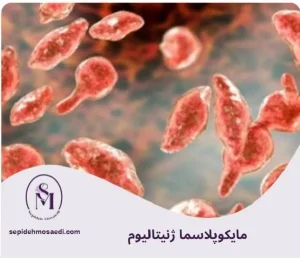 وبلاگ 1 مایکوپلاسما ژنیتالیوم چیست؟ علائم، روش تشخیص و درمان قطعی در زنان